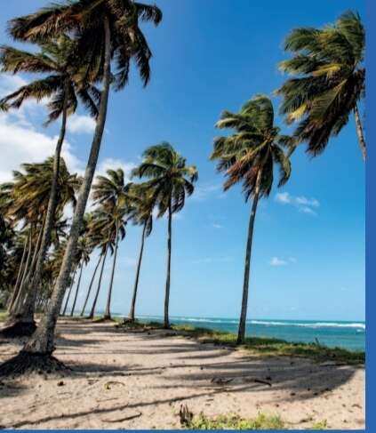 Lote/Terreno de 425m² no bairro Paiva, em Cabo de Santo Agostinho | Eu Corretor